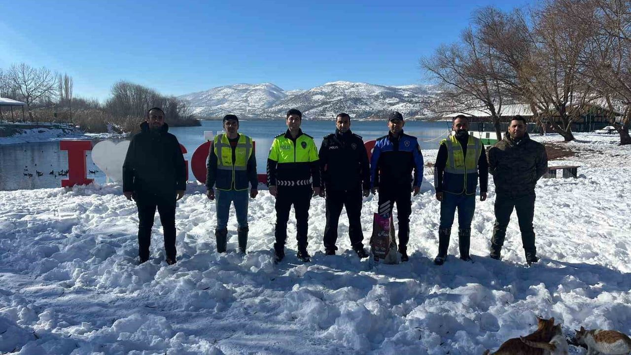 Gölbaşı'nda Sokak Hayvanlarına Destek