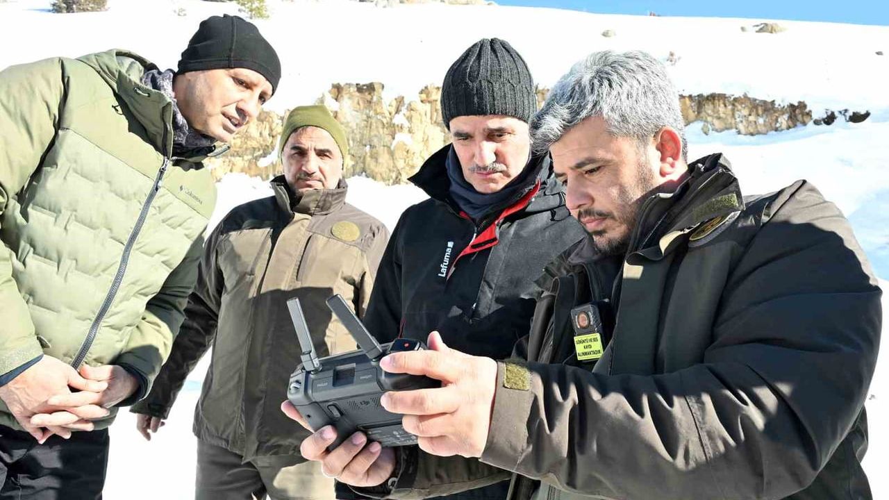 Gümüşhane'de Yaban Hayvanları İçin Yemleme Faaliyetleri Devam Ediyor