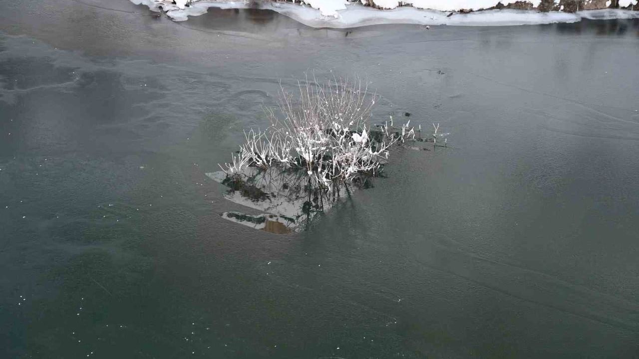 Habur Çayı Dondu: Kış Şartları Şırnak'ta Etkisini Gösteriyor