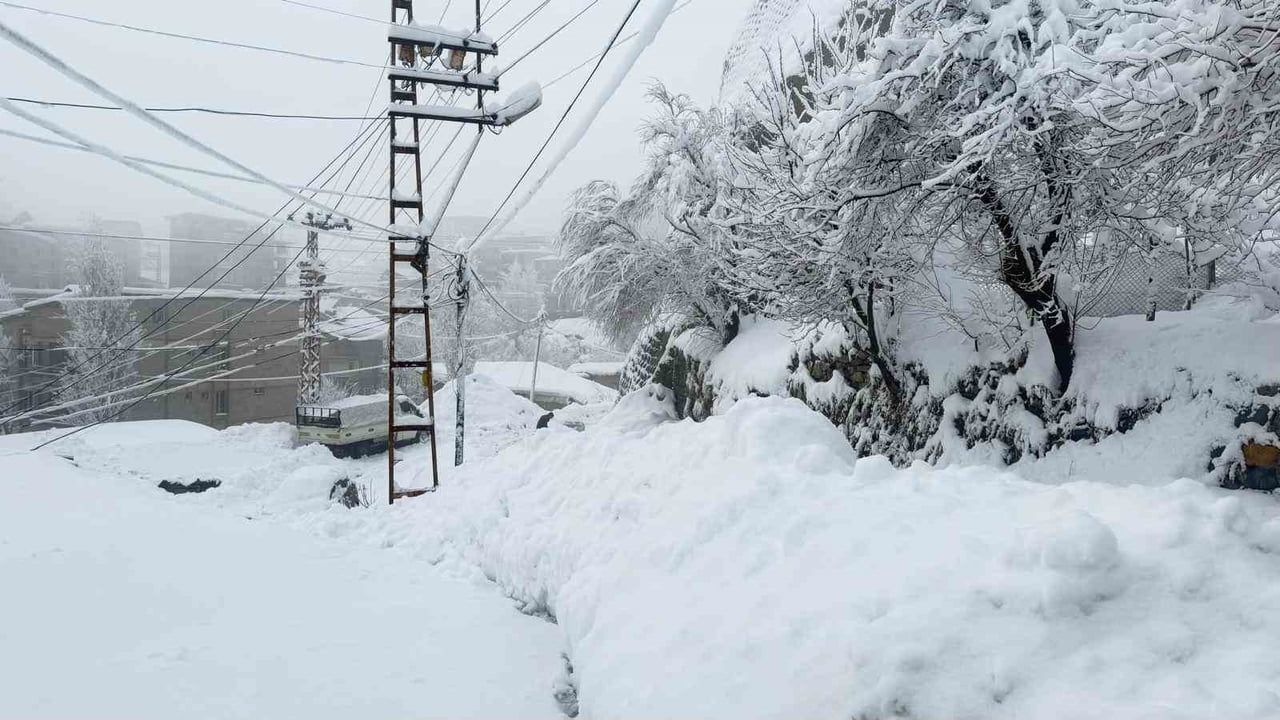 Hakkari'de 310 Yerleşim Yeri Yeniden Ulaşıma Açıldı