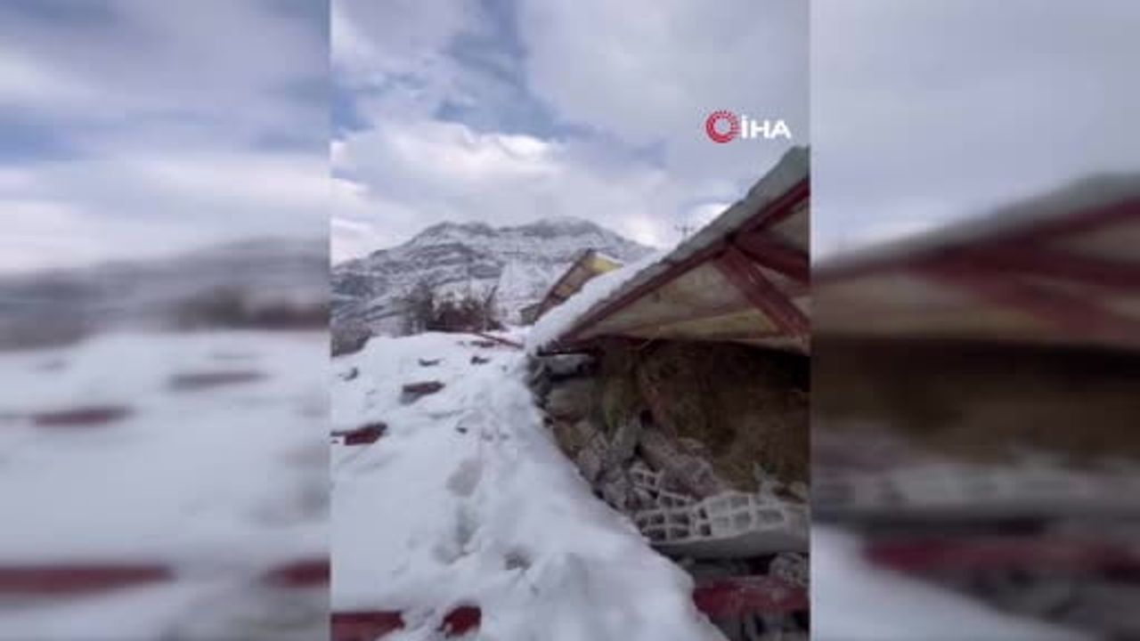 Hakkari'de Ahır Çöktü: Kar Yükü Tehlikesi