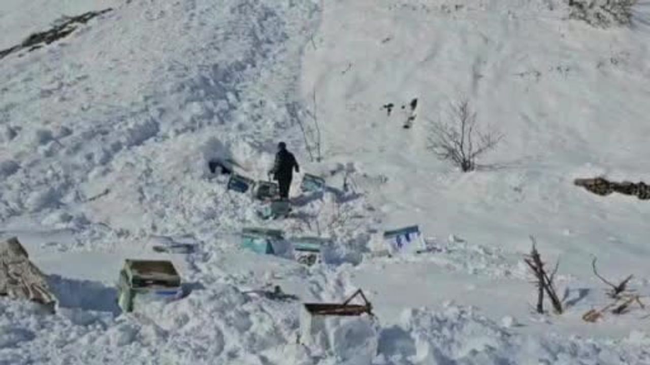 Hakkari'de Çığ Felaketi: 32 Arı Kovanı Mahsur Kaldı