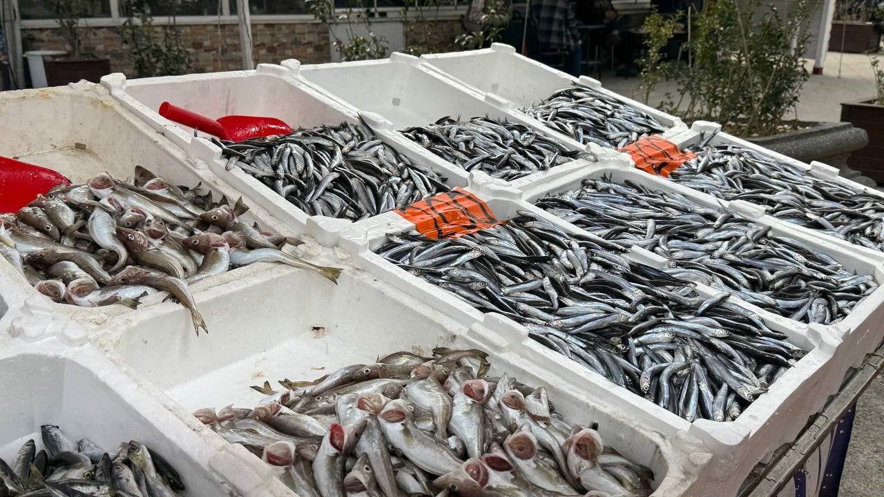 Hamsi Tezgahları Yeniden Şenlendirdi