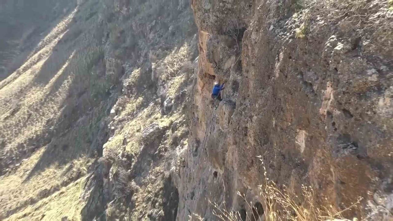Hasankeyf'te 5 Gün Mahsur Kalan Keçi Kurtarıldı