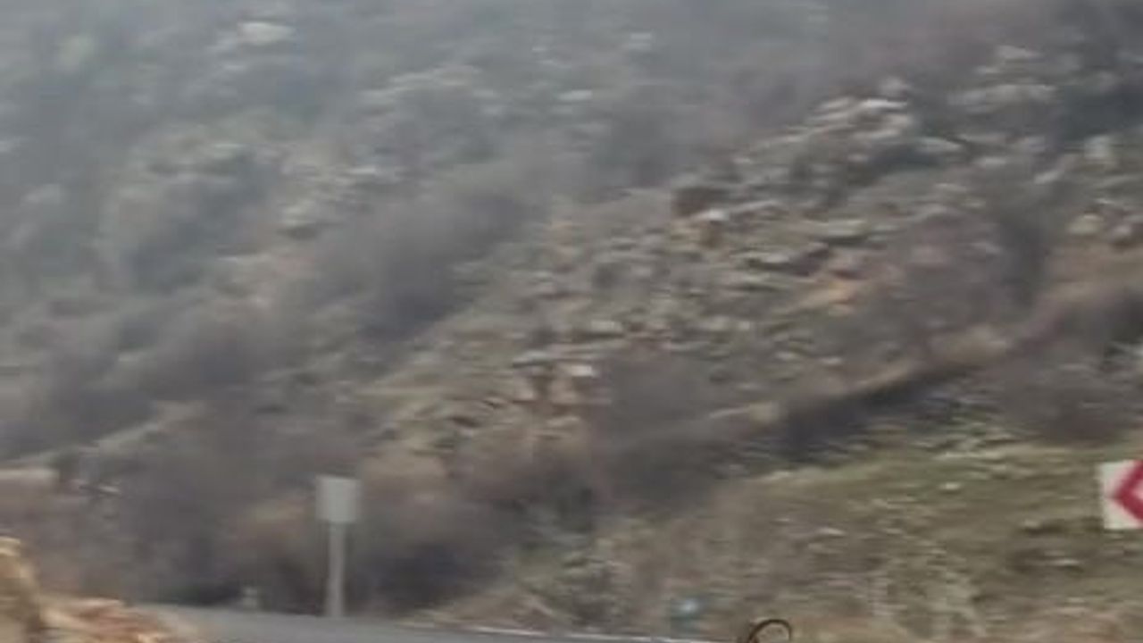 Hasankeyf'te Duyarlı Bir Sürücü: Dağ Keçilerinin Geçişine Saygı