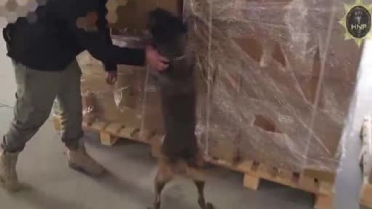 Hatay'da Üzerinde 642 Bin Uyuşturucu Hap Bulunan Plastik Pervaneler Ele Geçirildi