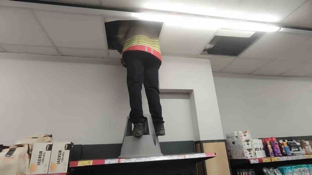 Havalandırma Boşluğunda Mahsur Kalan Kedi Kurtarıldı