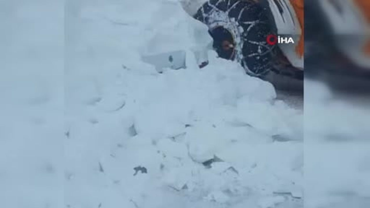 Hayvanlar İçin Hayatı Tehlikeye Attı