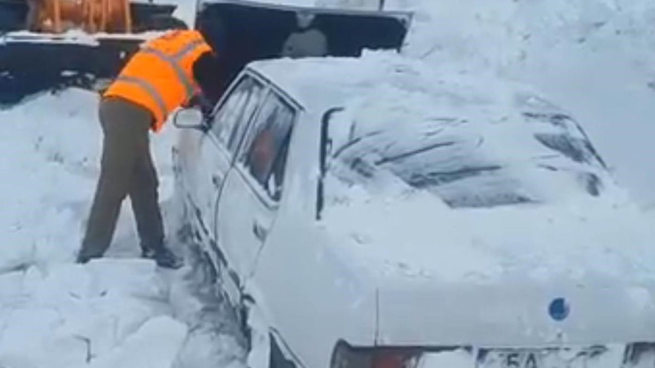 Hayvanlar İçin Tehlikeli Yolculuk