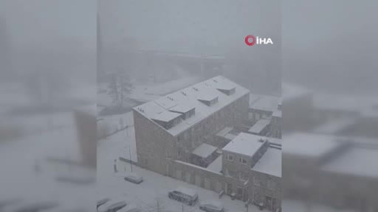 Hollanda'da Yoğun Kar Yağışı: 1.050 Uçuş İptal