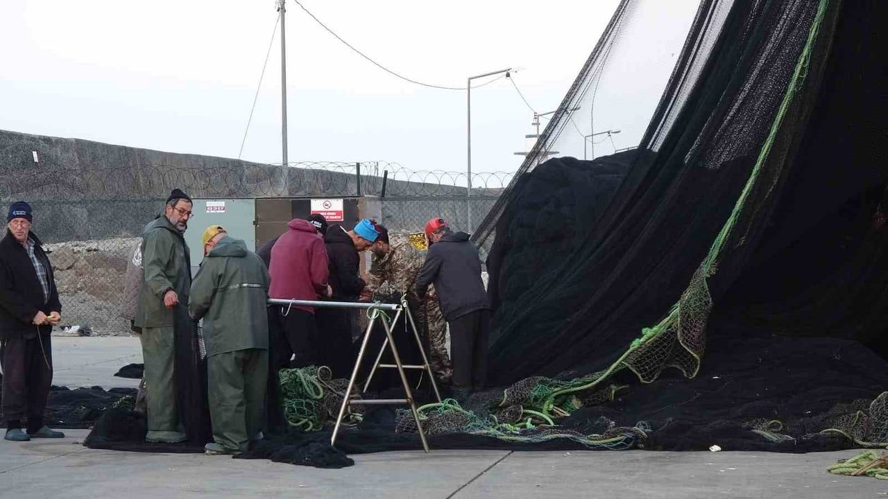 İğneada ve Gürcistan'da Hamsi Avında Beklentiler Karşılanmadı