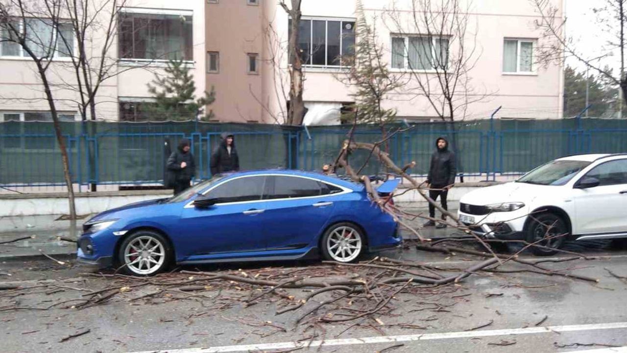 Isparta'da Fırtına Ağaçları Devrildi ve Park Halindeki Araçlara Zarar Verdi