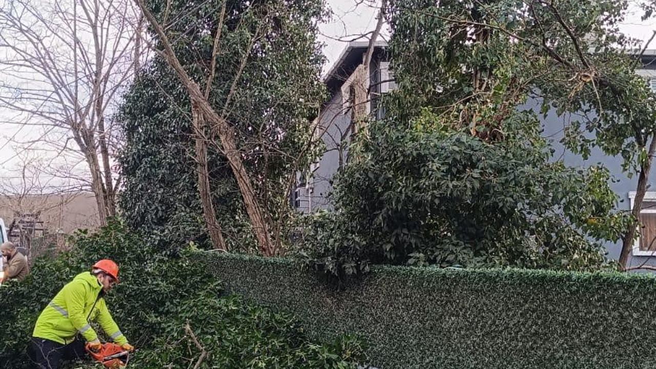 İstanbul'a Lodos Uyarısı: Kuvvetli Fırtına Bekleniyor