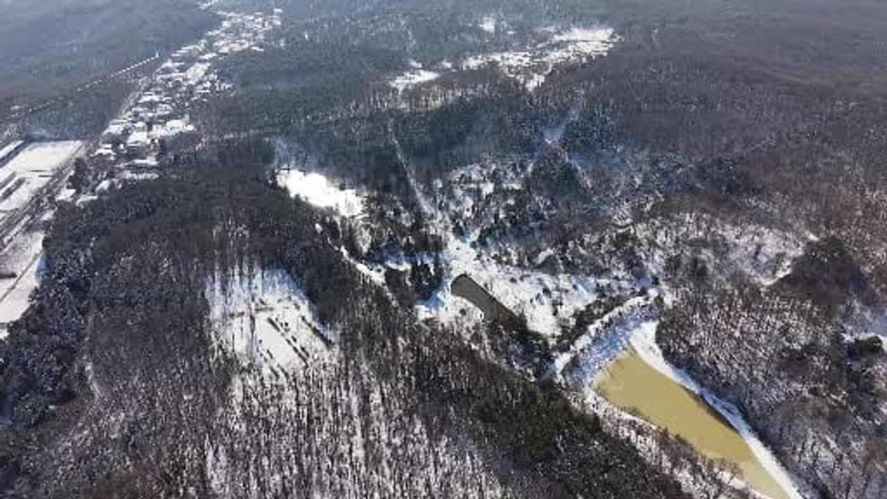 İstanbul'da Kar Yağışı Atatürk Arboretumu'nu Beyaza Bürüdü