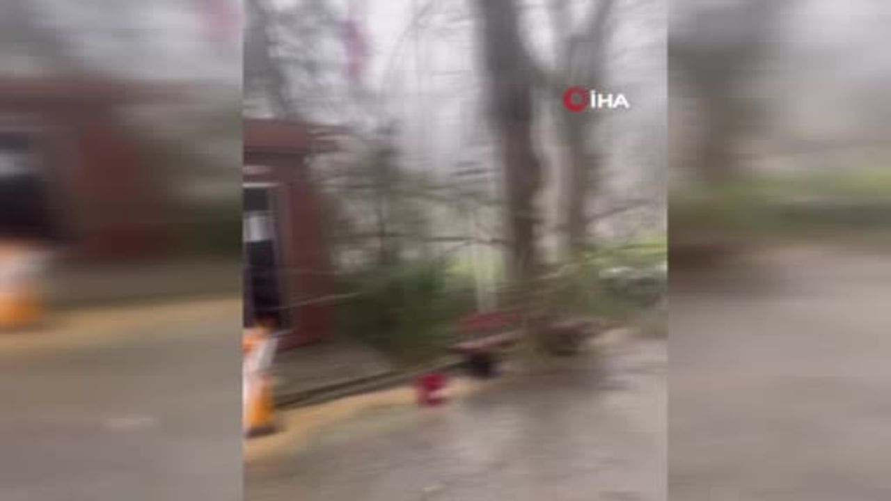 İstanbul'da Şiddetli Lodos ve Yağışların Oluşturduğu Hasar