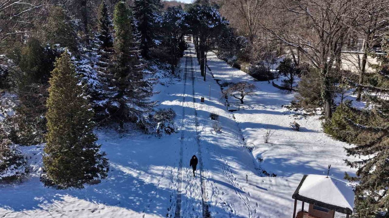 İstanbul'daki Kar Manzarası: Atatürk Arboretumu Bembeyaz