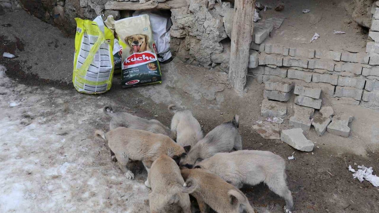 İstanbul’dan Erzurum’a Umut Dolu Bir Yardım
