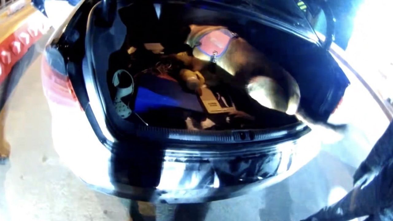 İstanbul'dan Gaziantep'e Uyuşturucu Sevkiyatına Jandarma Operasyonu