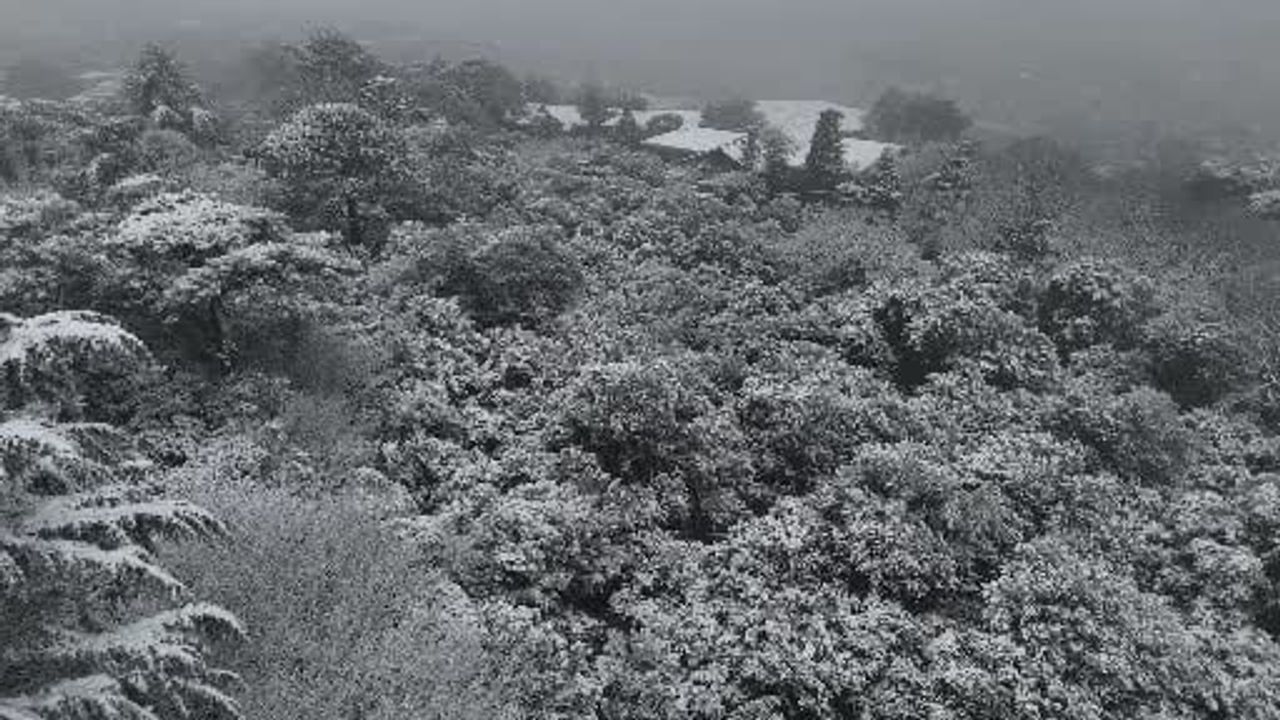 İstanbul'un Çamlıca Tepesi Karla Kaplandı