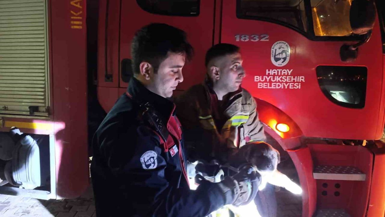 İtfaiye, Kuyuya Düşen Yavru Köpeği Kurtardı