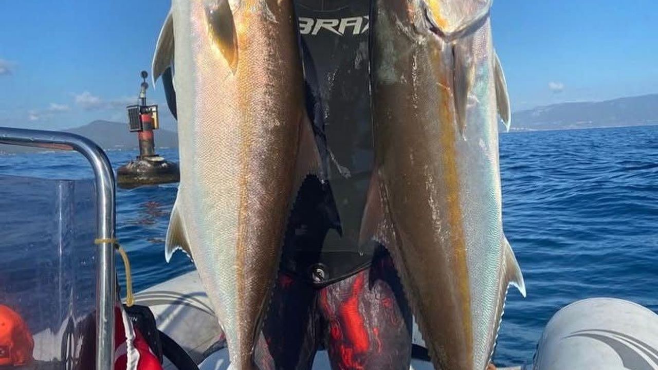 İzmir'de Eski Milli Sporcunun Av Kazası