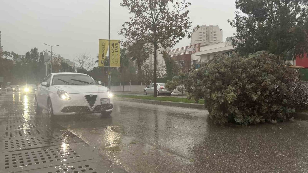 İzmir'de Fırtına Ağaçları Devrip Araçlara Zarar Verdi