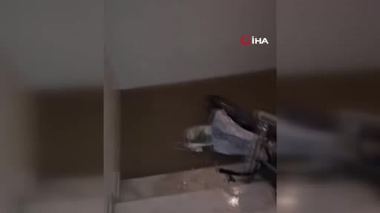 İzmir'de Sel Felaketi: Evler ve İş Yerleri Su Altında Kaldı