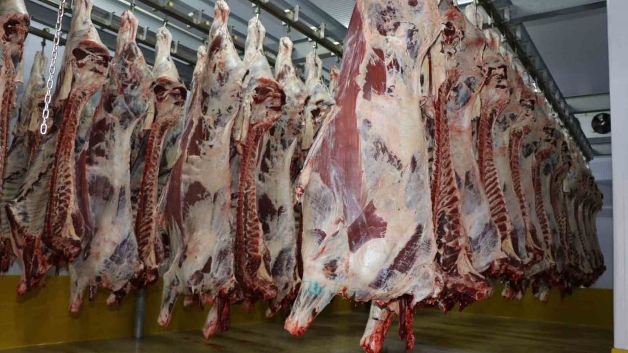 İzmit Mezbahası'nda 6,029 Hayvan Kesildi