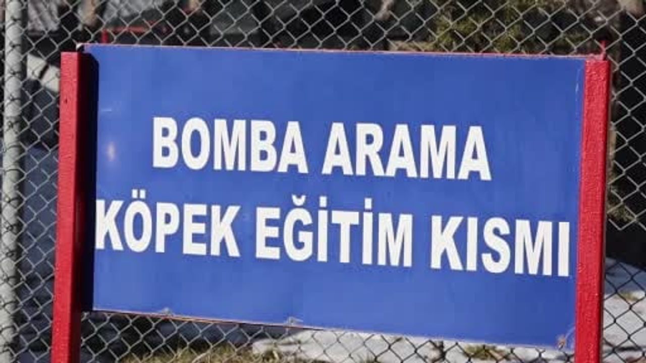 JAKEM: Görev Köpeklerinin Zorlu Eğitimi