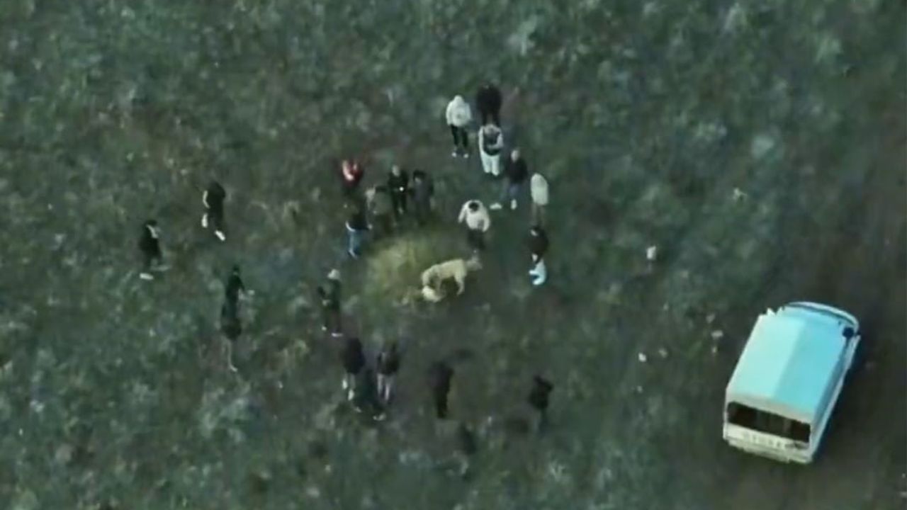 Jandarma Dronla Köpek Dövüştürenlere Baskın Düzenledi