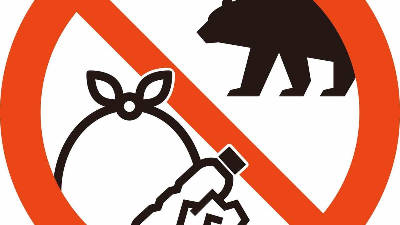 Japonya, Ayı Saldırılarına Karşı Yeni Uyarı İşaretleri Tanıttı