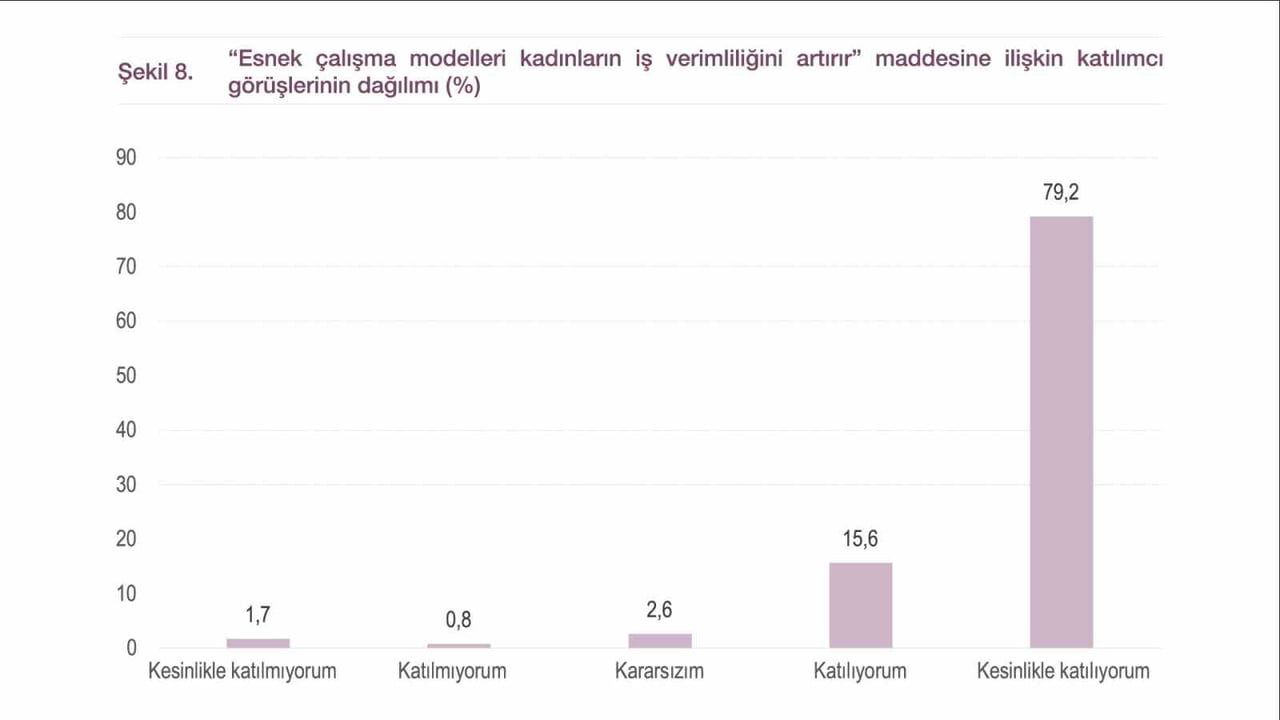 Kadınların İş ve Aile Hayatındaki İkiliği: Eğitim-Bir-Sen'den Öneriler
