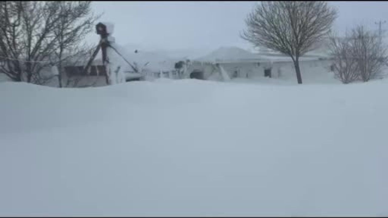 Kangal Yetiştiricisi Umut Taşdelen, Sivas’ta Kış Şartlarıyla Mücadele Ediyor