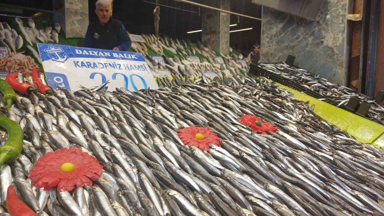 Kar Yağışı Denizde Bolluk Yaratıyor