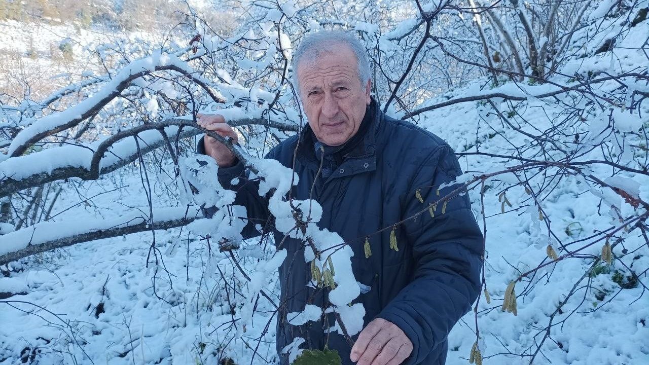 Kar Yağışı Fındık Üreticisini Sevindirdi