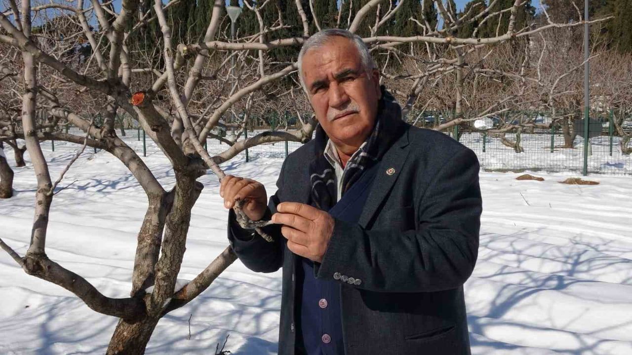 Kar Yağışı Gaziantep Çiftçisinin Yüzünü Gülümsetti