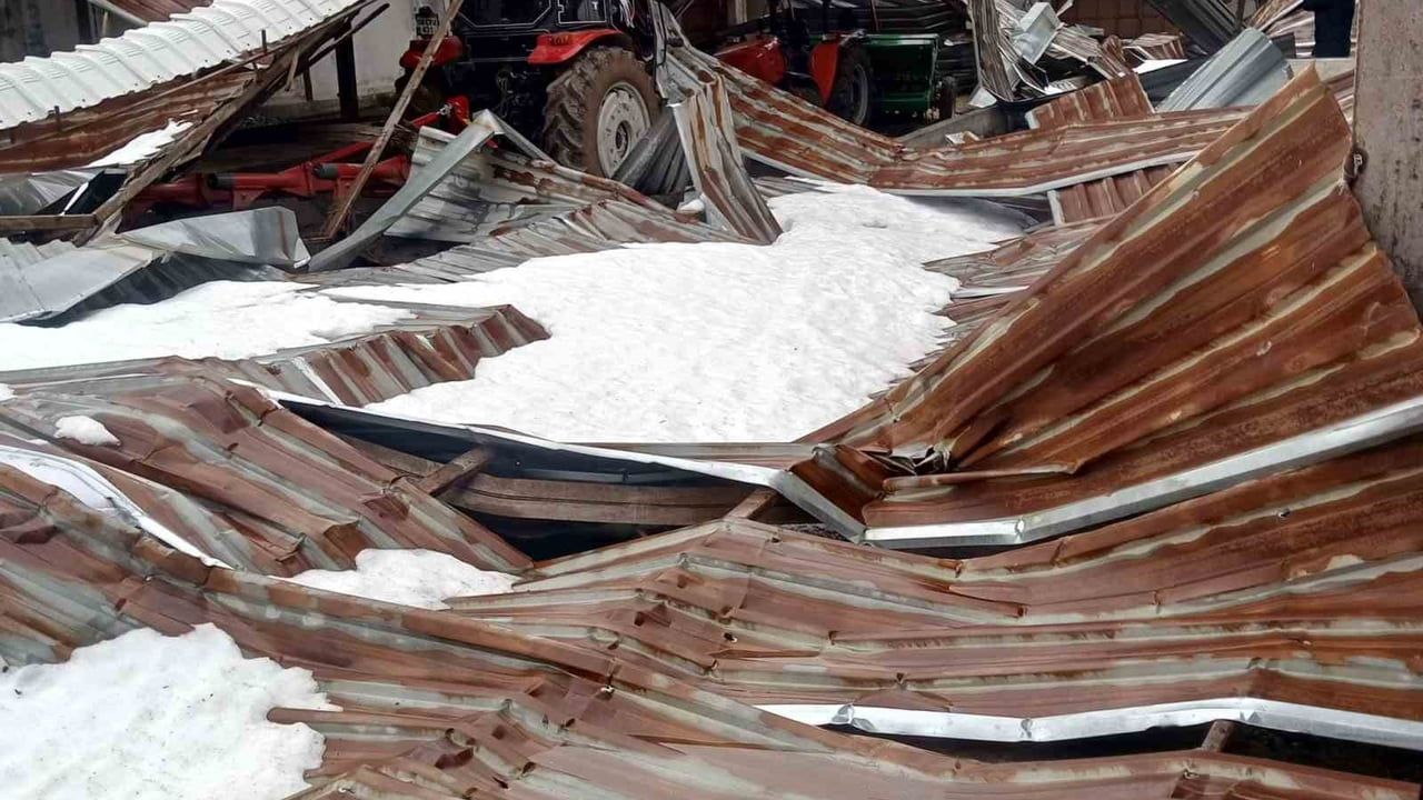 Kar Yağışı Mandıra Çatısını Çökertti