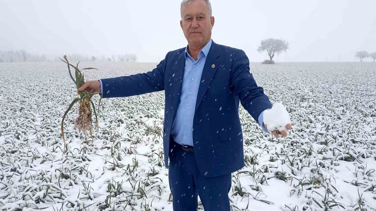 Kar Yağışı Sarımsak Üreticilerini Sevindiriyor