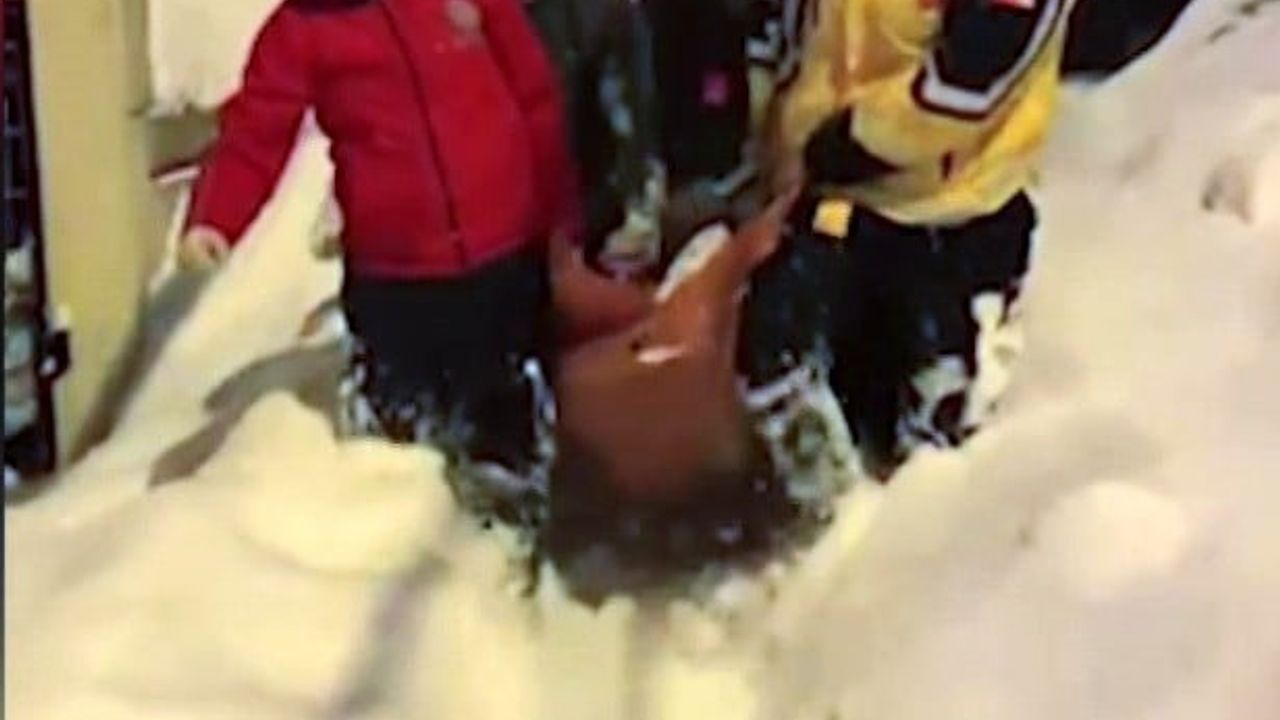 Karabük'te Kar Engeli Aşılarak Yaşlı Kadın Hastaneye Ulaştırıldı