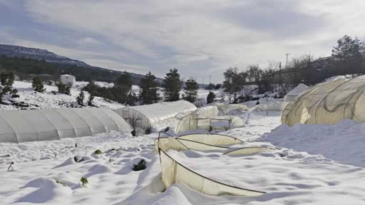 Karabük'te Yoğun Kar Yağışı Seraları Vurdu