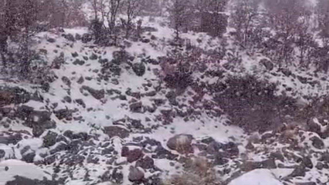 Karacadağ’da Kar Yağışı Yaban Hayatını Olumsuz Etkiledi