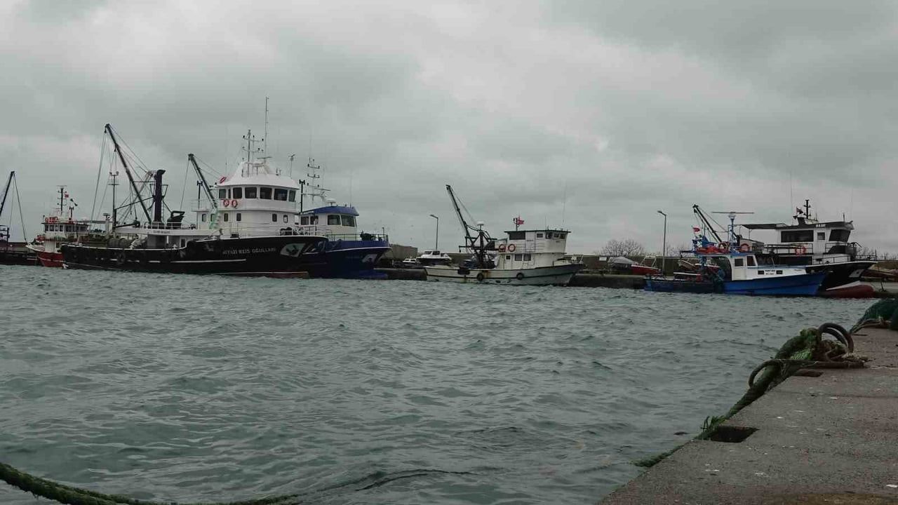 Karadeniz'deki Hamsi Avcılığı Üzerine Endişeler