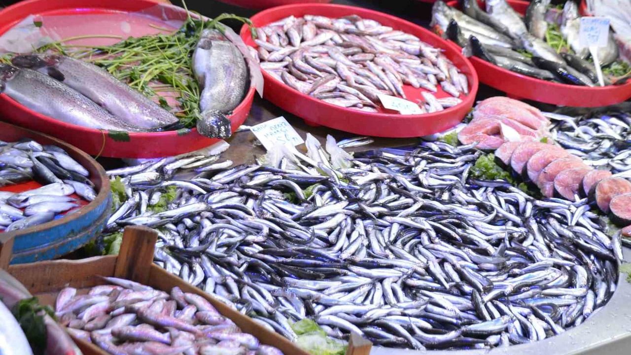 Karadeniz Hamsisi Tezgahların Yeni Yıldızı