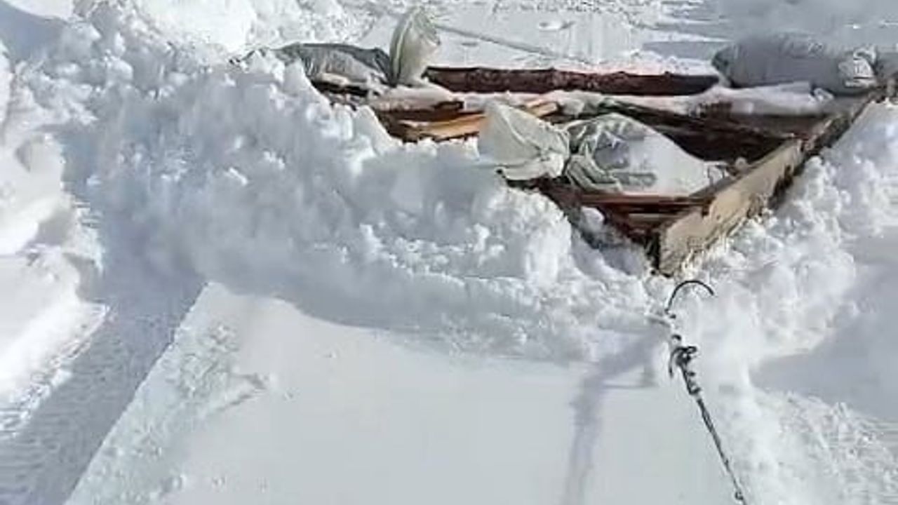 Karadenizli Çiftçilerden Yaratıcı Kar Küreme Yöntemi