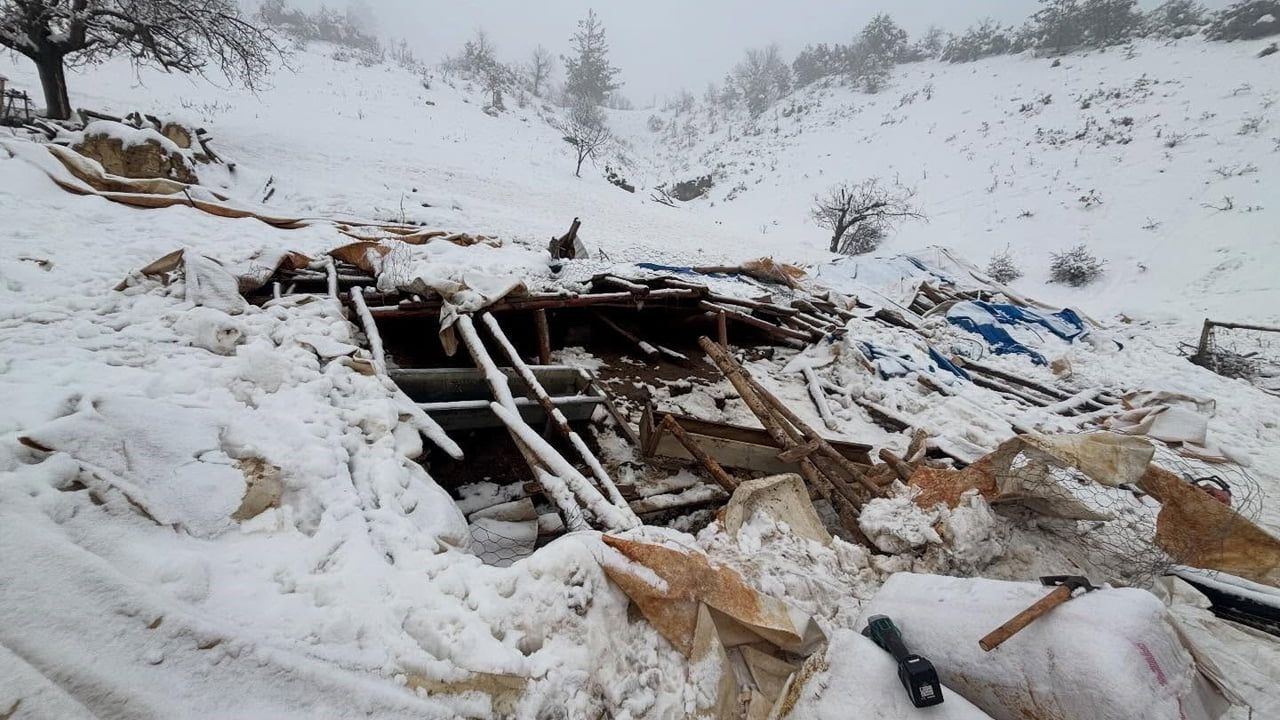 Karaman'da Kar Yağışı Nedeniyle Ahırın Çatısı Çöktü