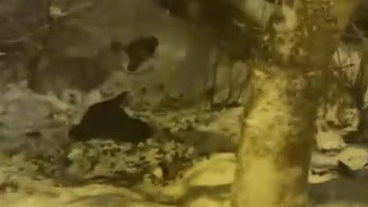 Karla Kaplı Yolda Poşetle Kayarken Kazayı Görüntülediler