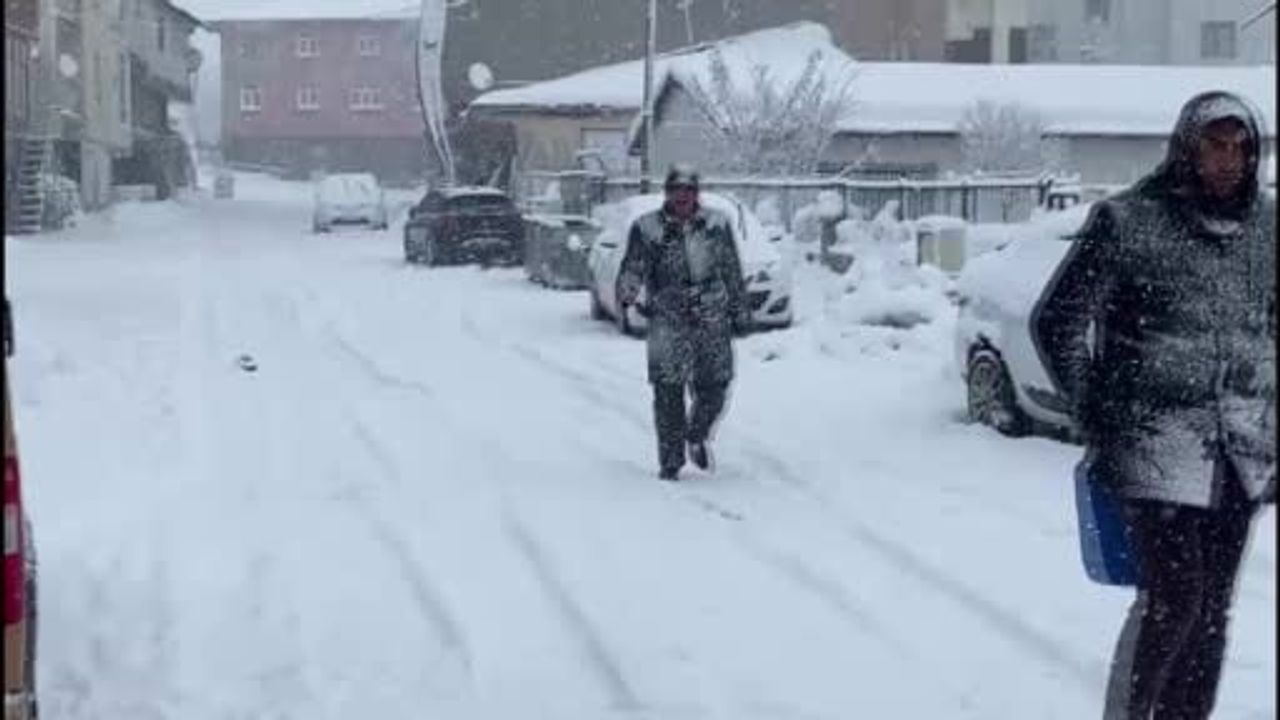 Karlıova'da Tekrar Kar Yağışı Başladı