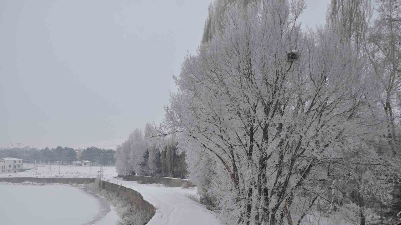 Kars'ta Dondurucu Soğuk Ağaçları Kırağıyla Kapladı
