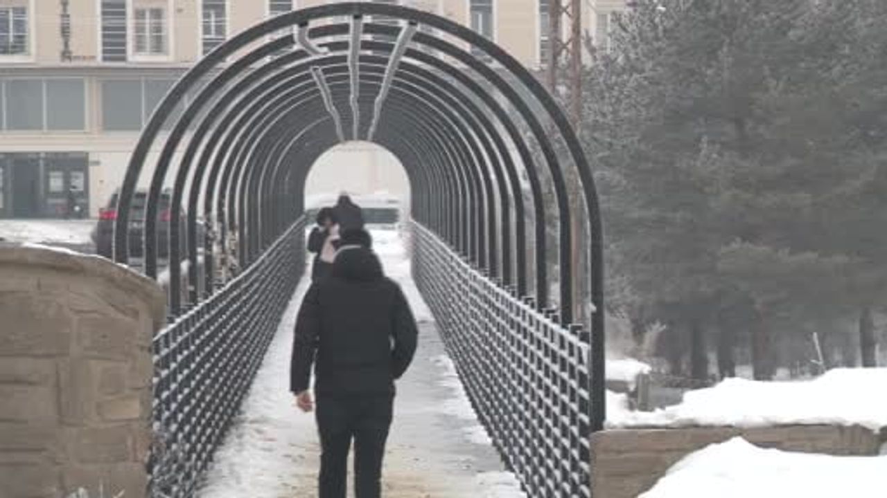 Kars'ta Dondurucu Soğuklar Ağaçları Kırağı ile Kapladı