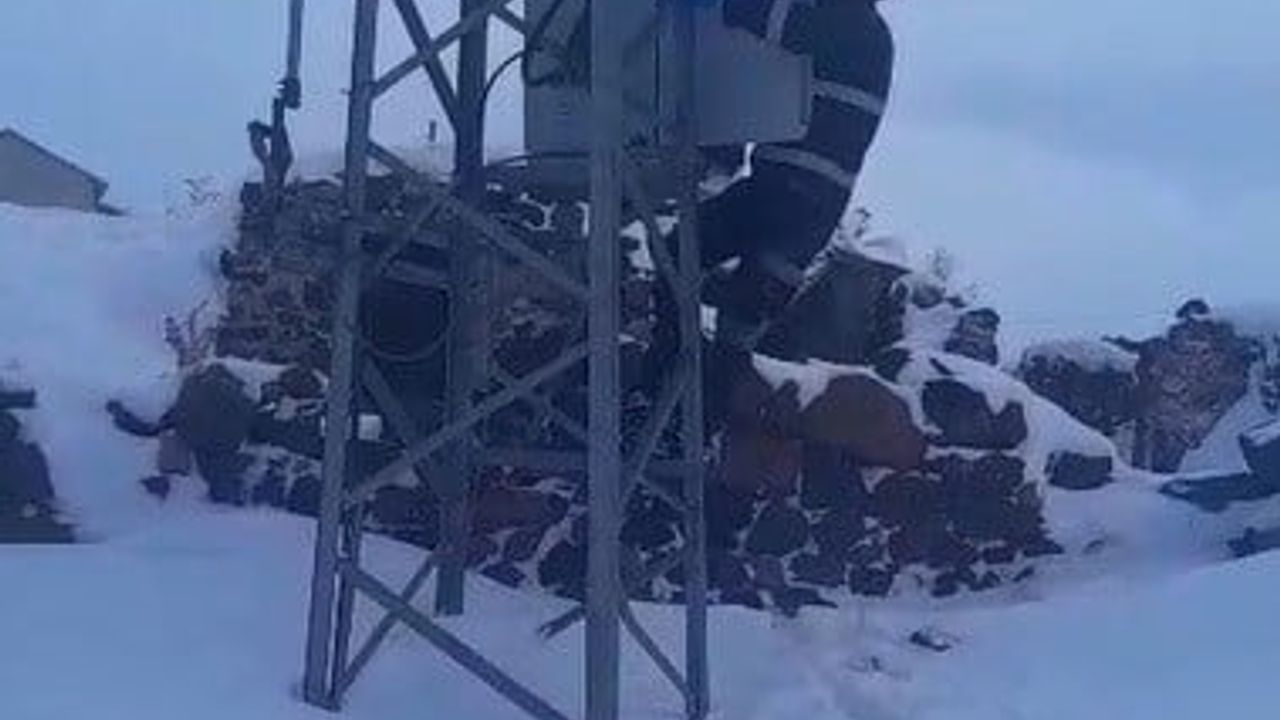 Kars'ta Dondurucu Soğukta Enerji Mücadelesi